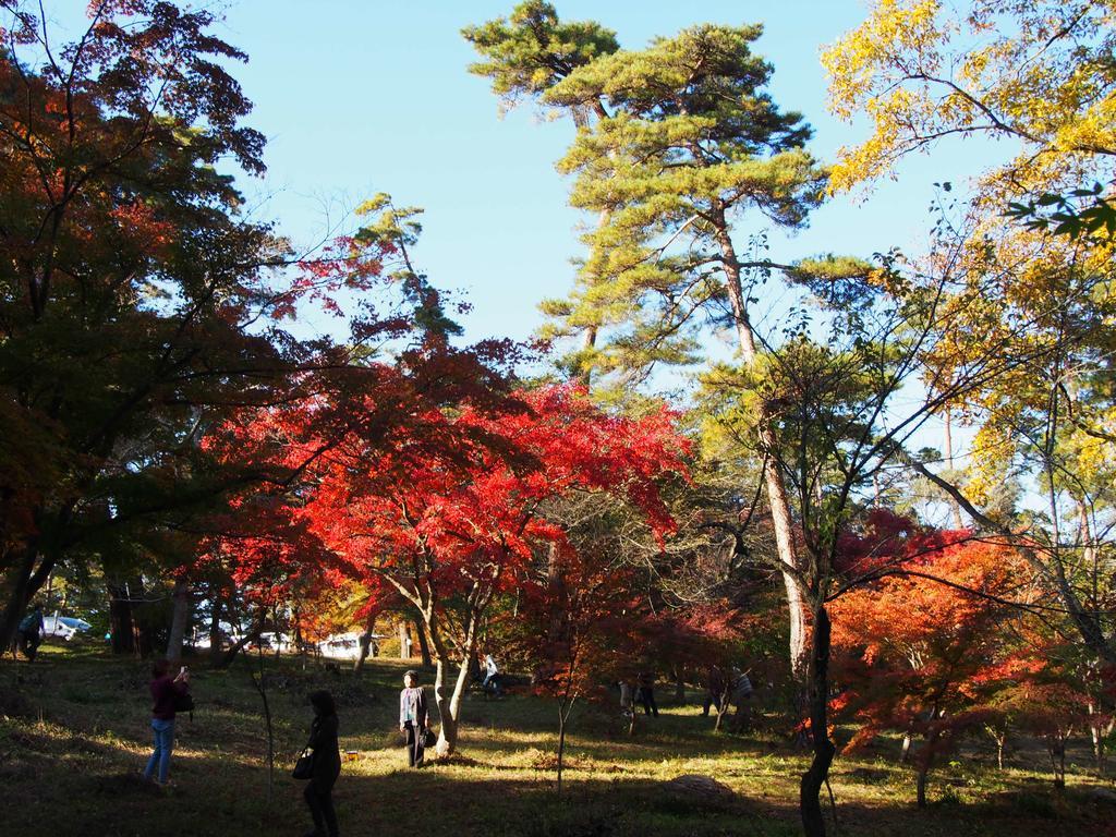 Inn Yokotei นากะโทโระ ภายนอก รูปภาพ