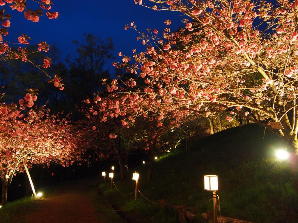 Inn Yokotei นากะโทโระ ภายนอก รูปภาพ
